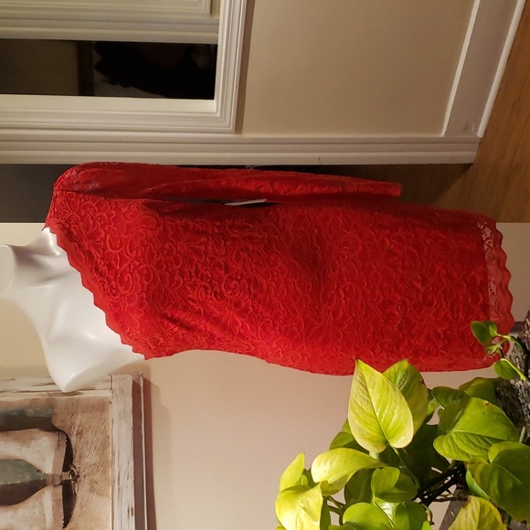 Express Dress - Picture 4 of 12